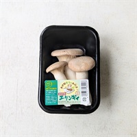 【農薬不使用】エリンギ 1P★
