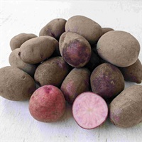 【自然栽培】國吉農園 じゃがいも(ノーザンルビー) 1kg★