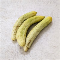 【自然栽培】木こり農園 きゅうり250g★