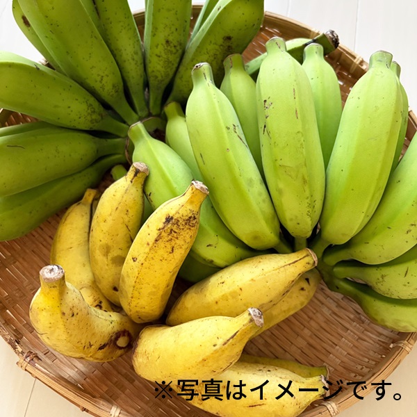 【直送】【自然栽培】玉城ファーム バナナ 2kg（25～35本）★