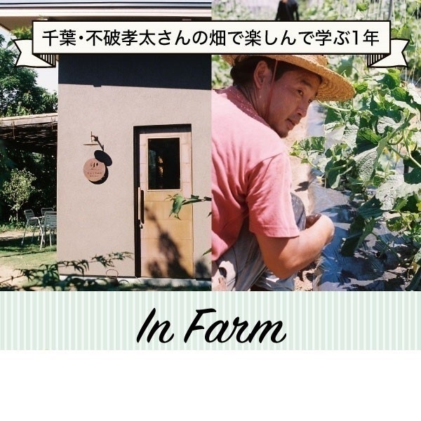 【10月14日(土)】千葉・不破孝太さんの畑で楽しんで学ぶ1年「In Farm」(2023年11月25日(土)9：30集合)