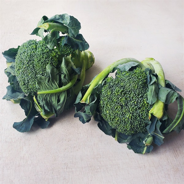 ＜豊作＆まとめ買いSALE＞【自然栽培】サンズファーム ブロッコリー 2P◆