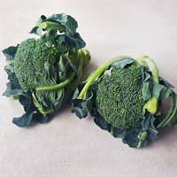 ＜豊作＆まとめ買いSALE＞【自然栽培】サンズファーム ブロッコリー 2P◆
