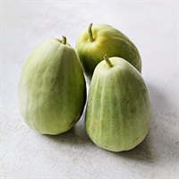 オーガニックストア グリーン organic store 6箱 CHANOARL 至福のひととき 有機JASオーガニック茶ティーバッグ