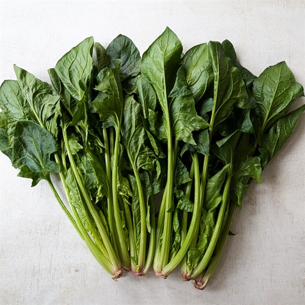 ＜豊作＆まとめ買いSALE＞【自然栽培】サンズファーム ほうれん草 2P◆