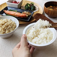 【夏ギフト】［ナチュラル・ハーモニー］パックごはんセット