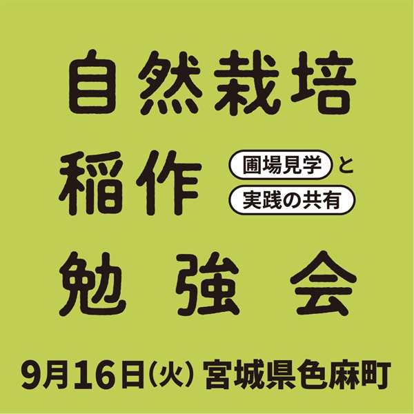 【9/16火】自然栽培 稲作勉強会 ＠宮城県色麻町（昼食付）(一般（¥5,000）)