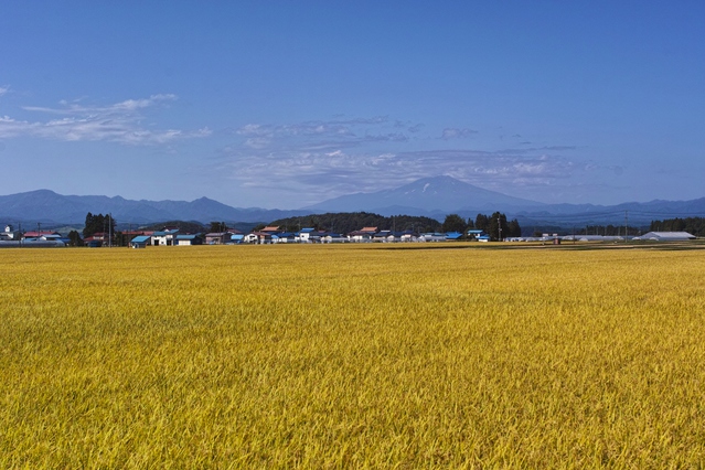 真室町