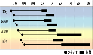 作型図