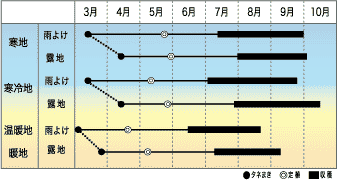 作型図