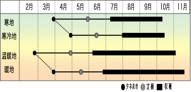 作型図