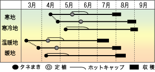 作型図