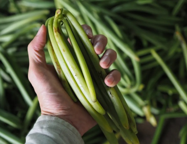 野菜