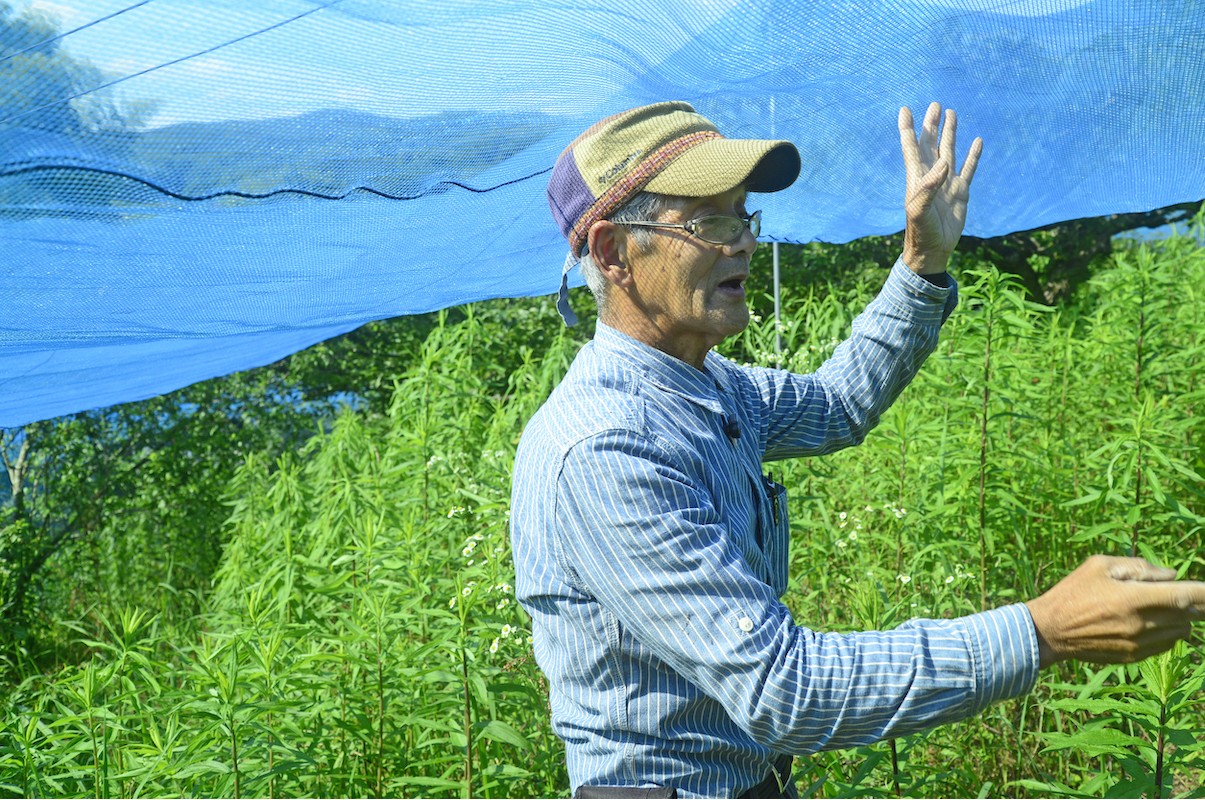 野菜