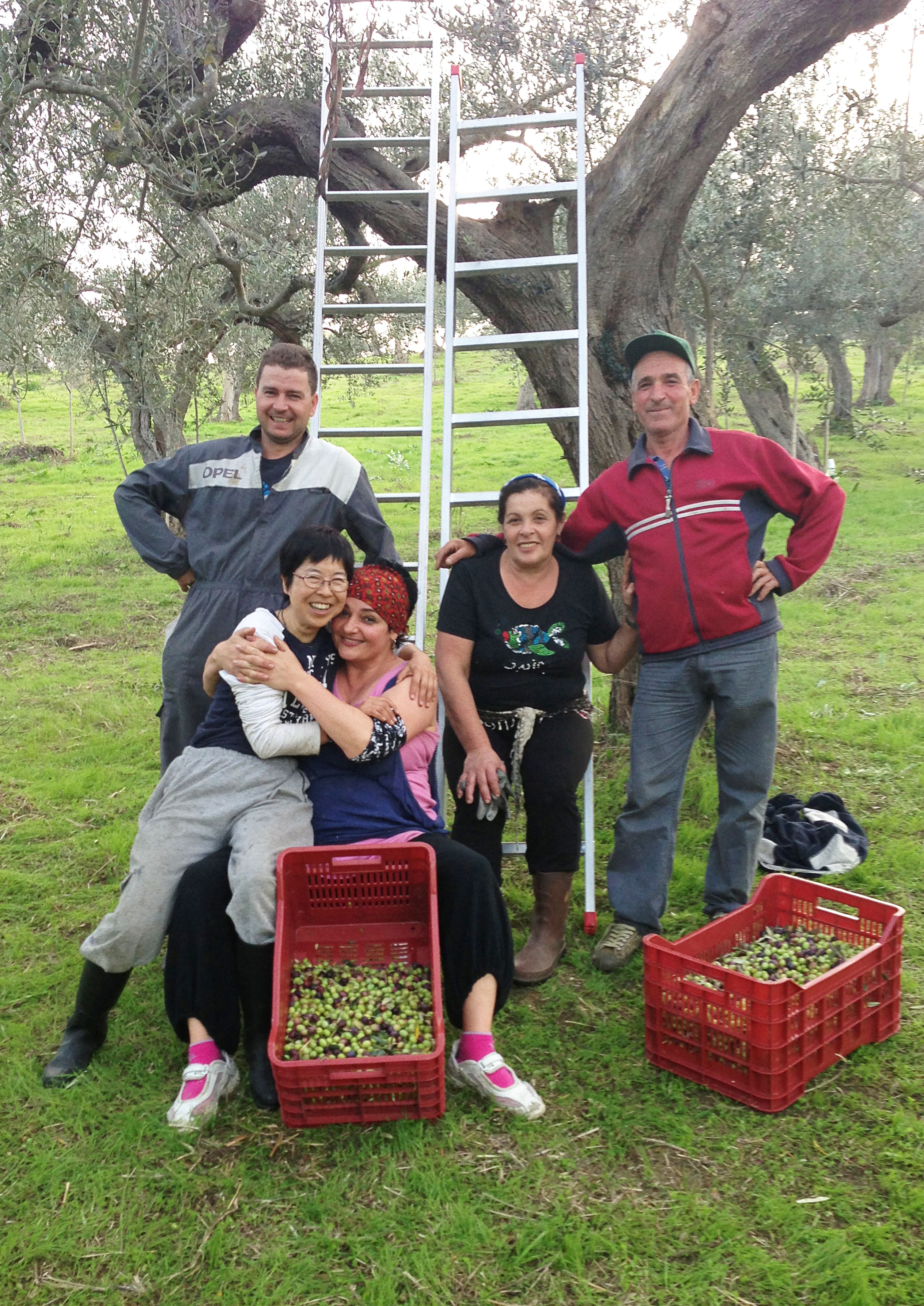 朝倉さんと仲間たち